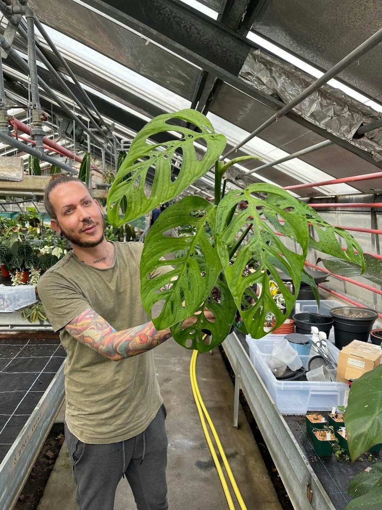 Die teuersten Pflanzen bei Skinkplants Wohnen Heute.at