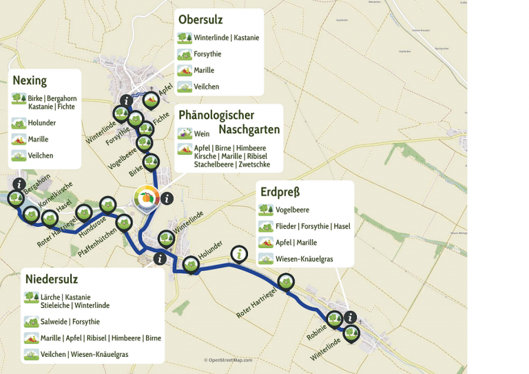 Die Marktgemeinde Sulz im Weinviertel lädt BesucherInnen zu einer phänologischen Reise entlang der Rad- und Wanderwege ein.