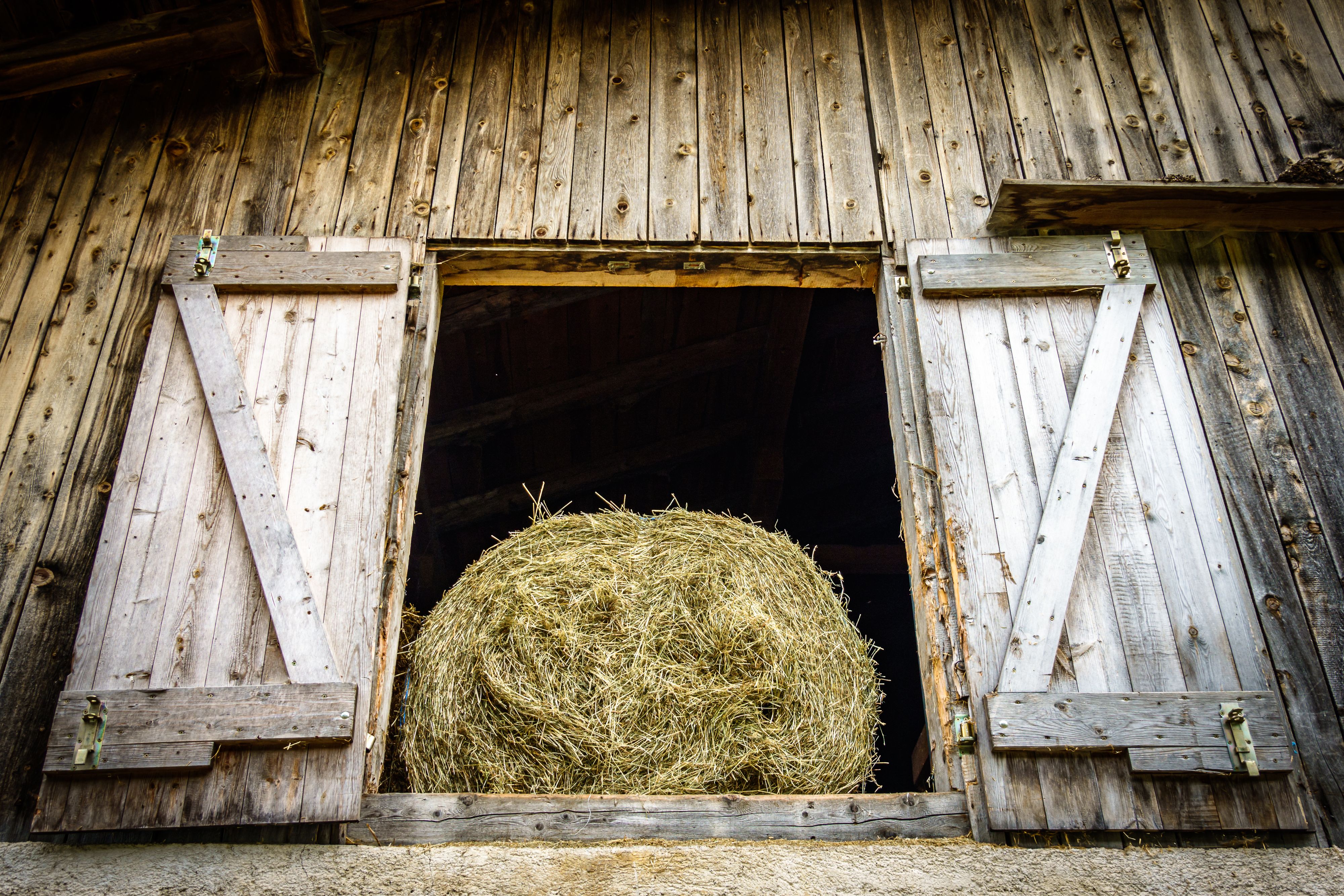 Der Heuballen fiel auf den Landwirt.