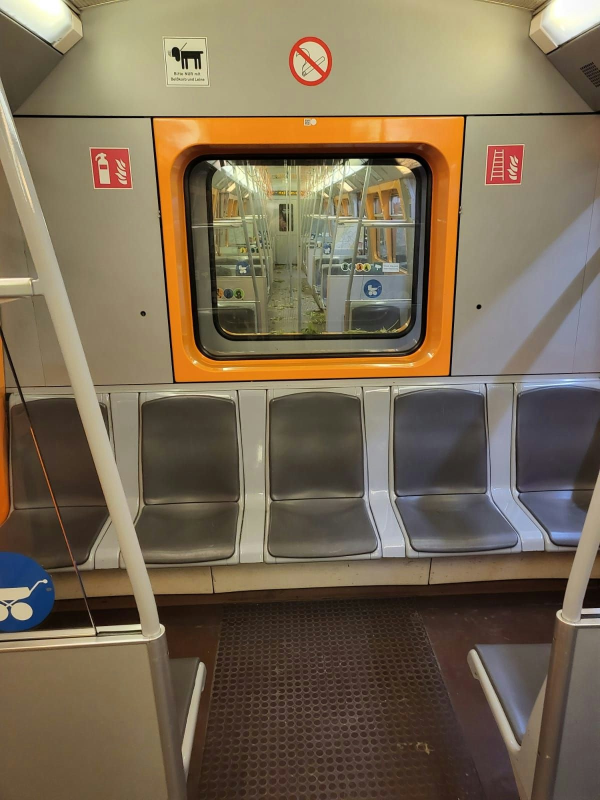 Die Hanf-Pflanzen waren im ganzen Wagon verteilt.