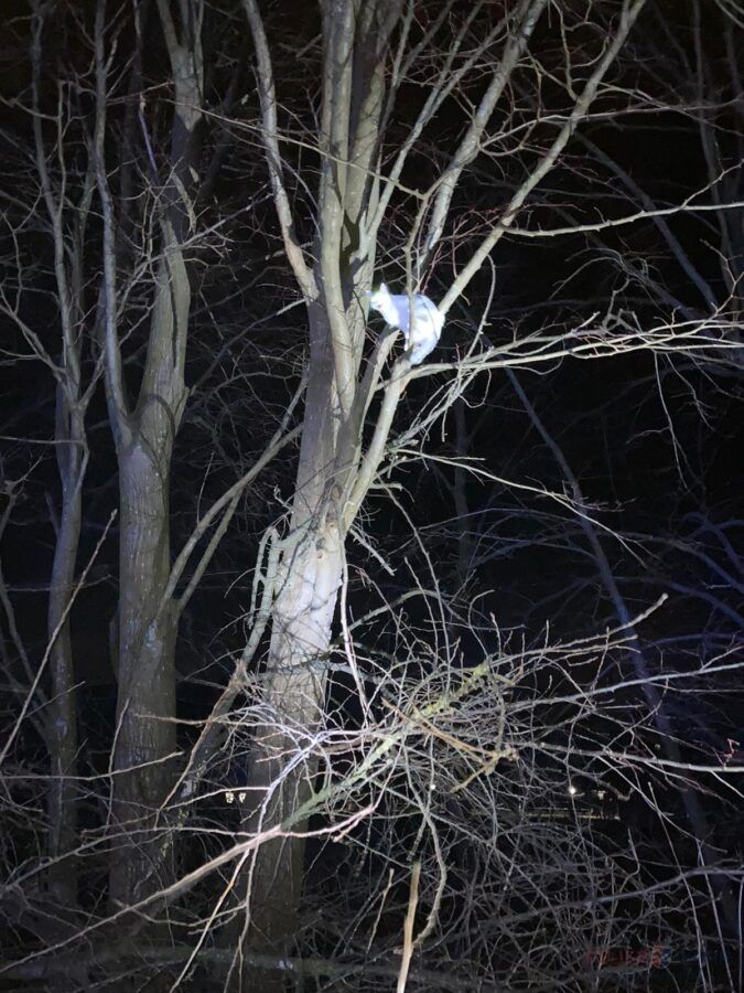 Nächtlicher Einsatz für die Feuerwehr Ober-Grafendorf.