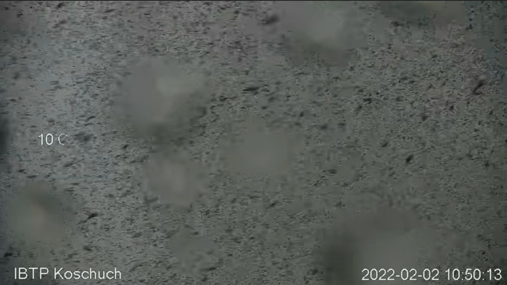 Eine Webcam des Betreibers filmte den Lawinenabgang ebenfalls.