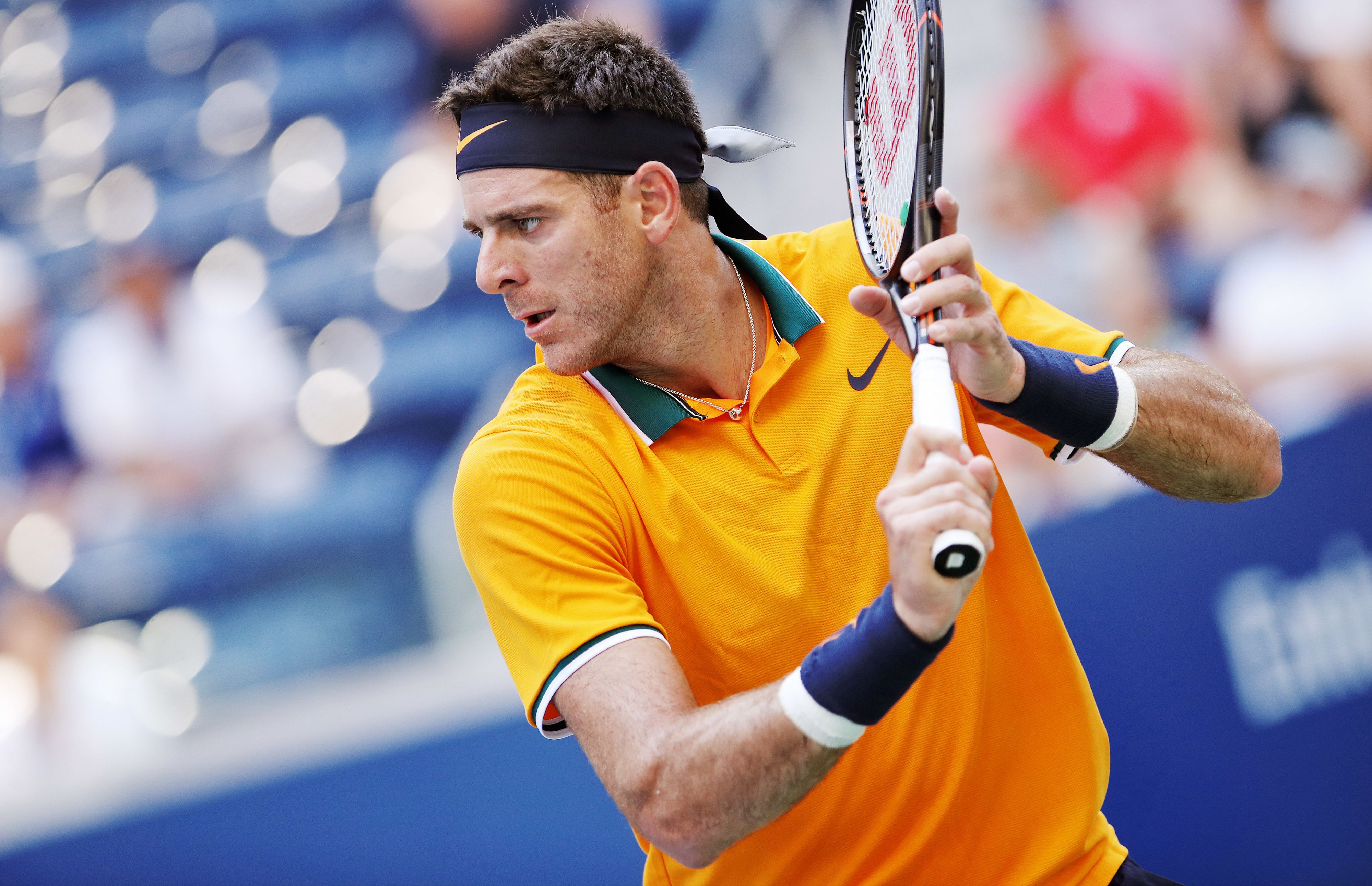 Juan Martin del Potro