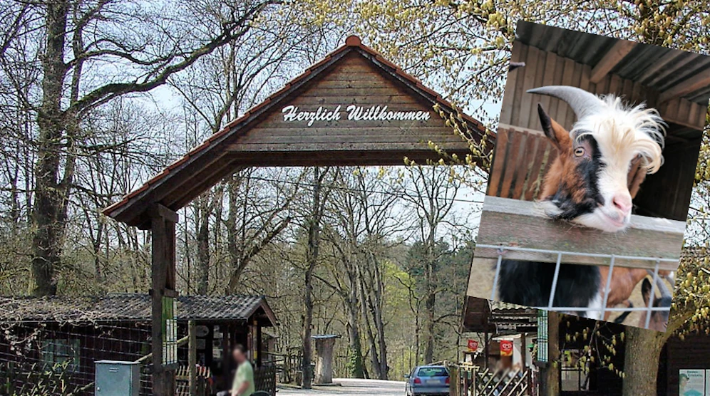 Zum 50-jährigen Jubiläum werden alte Fotos vom Tierpark Haag gesucht.