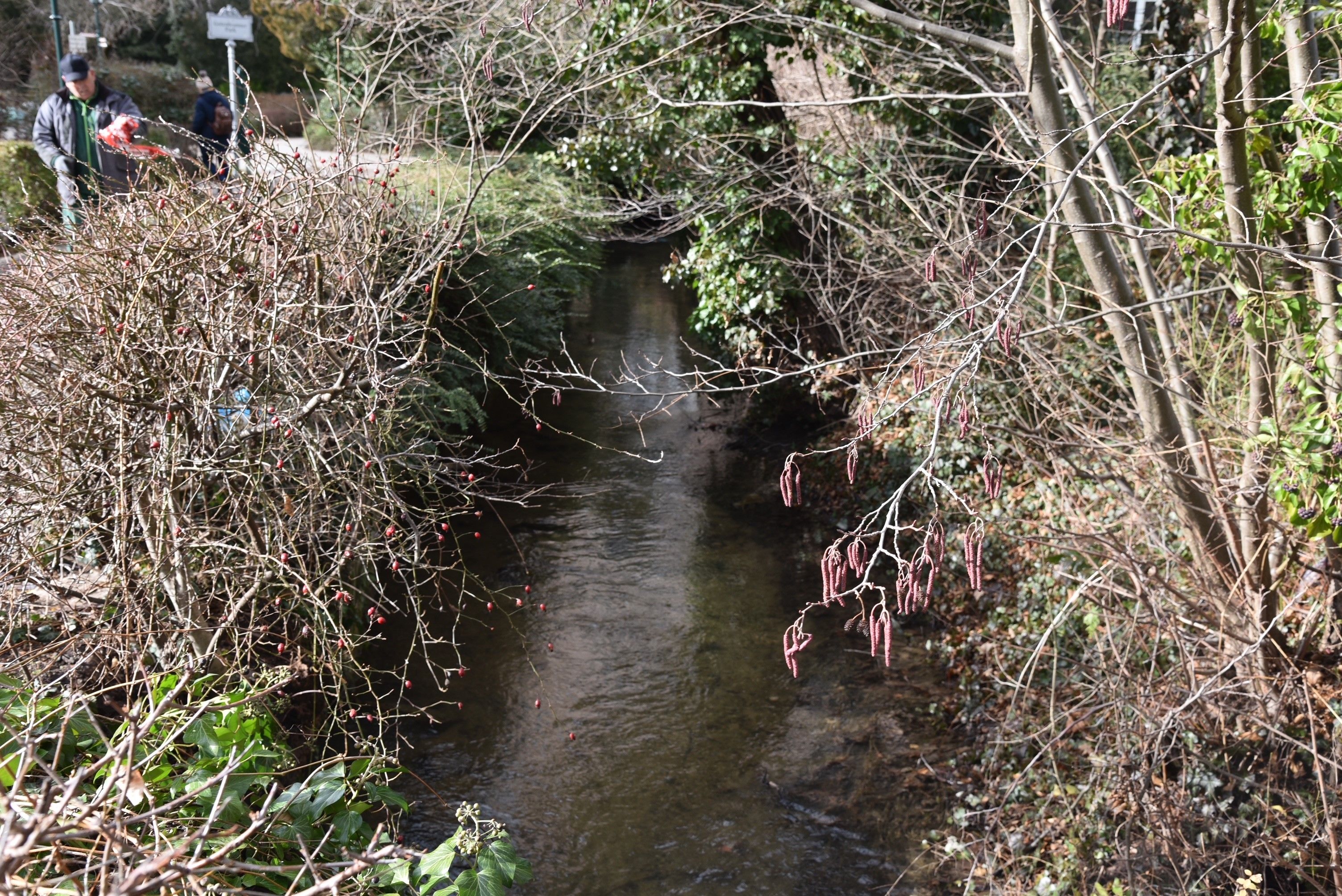Hier wurde der Mann gefunden.
