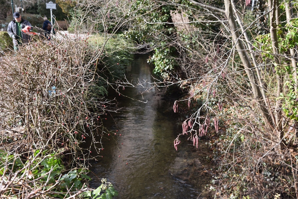 Hier wurde der Mann gefunden.
