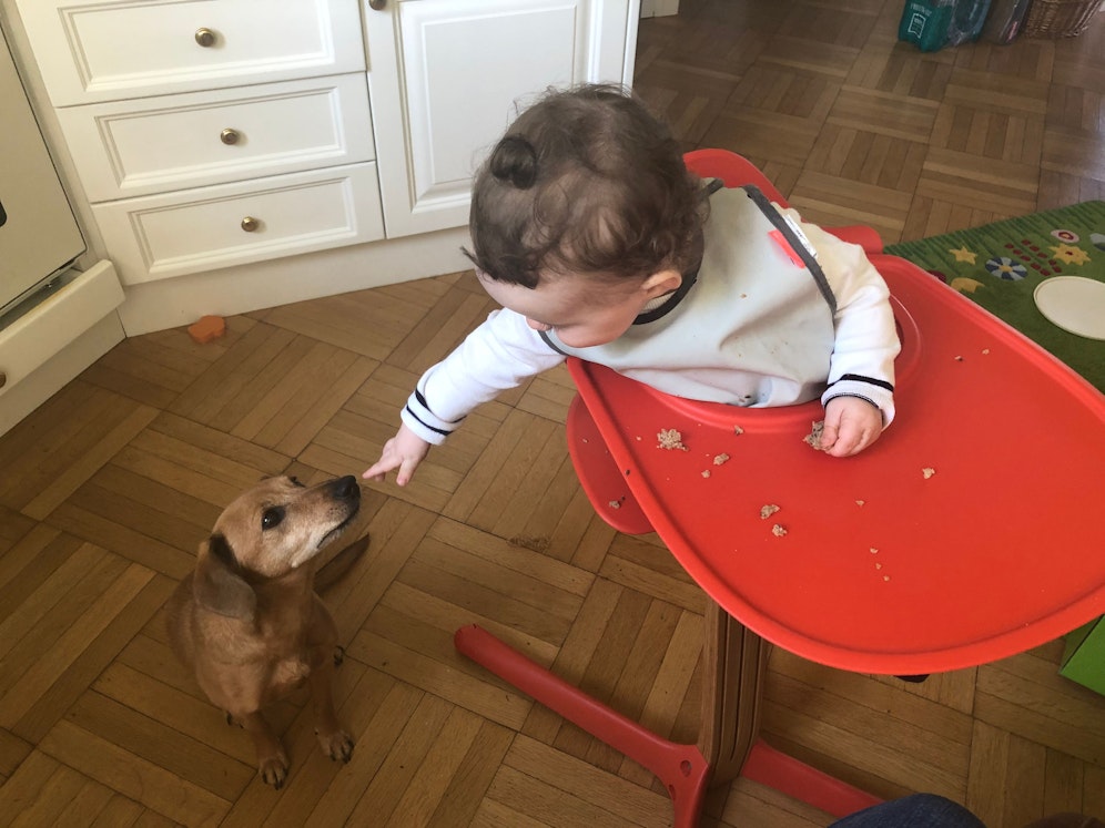 Am Sonntag um 10 Uhr wurde Dackeldame 