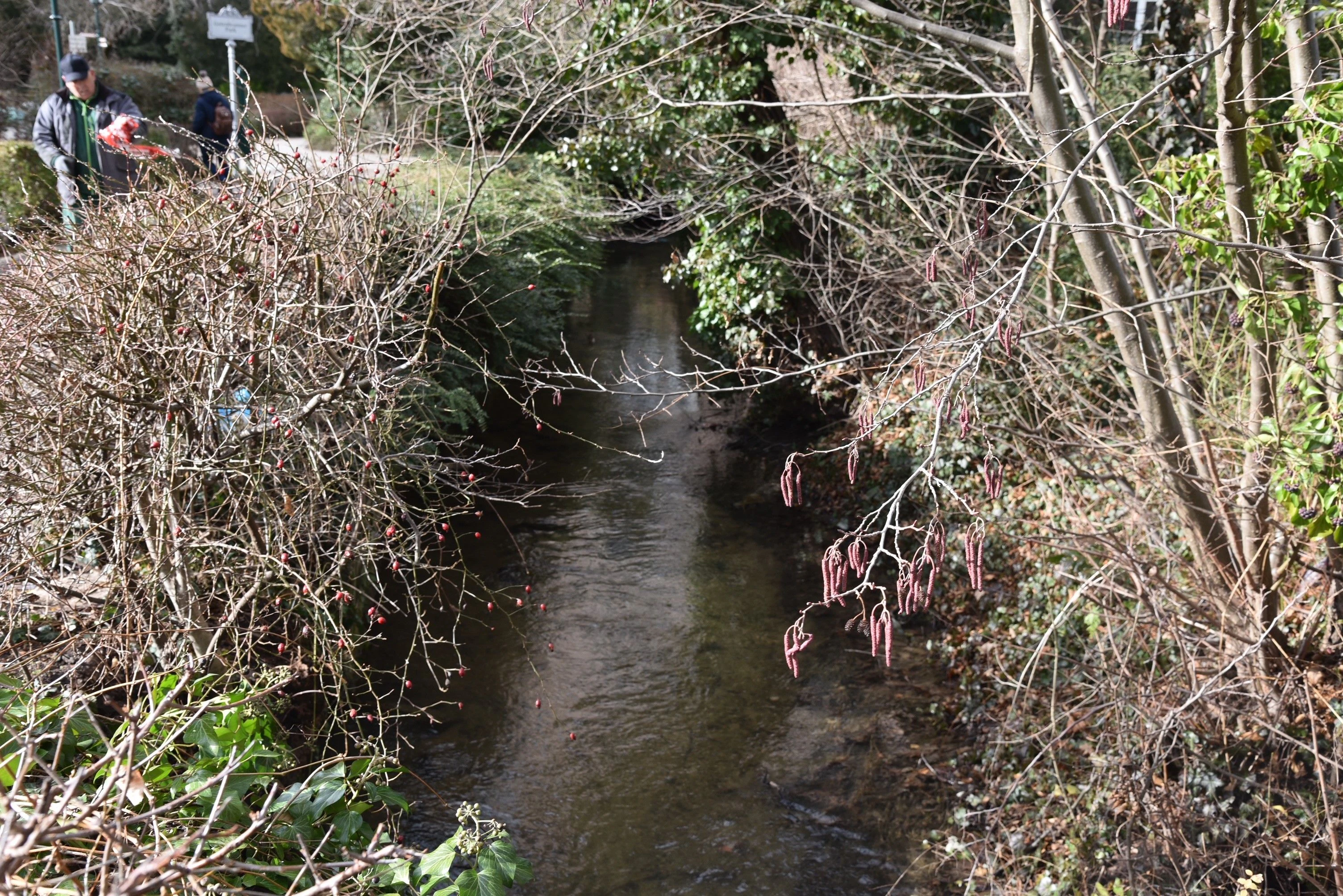 Bilder vom Einsatz und dem Fundort.