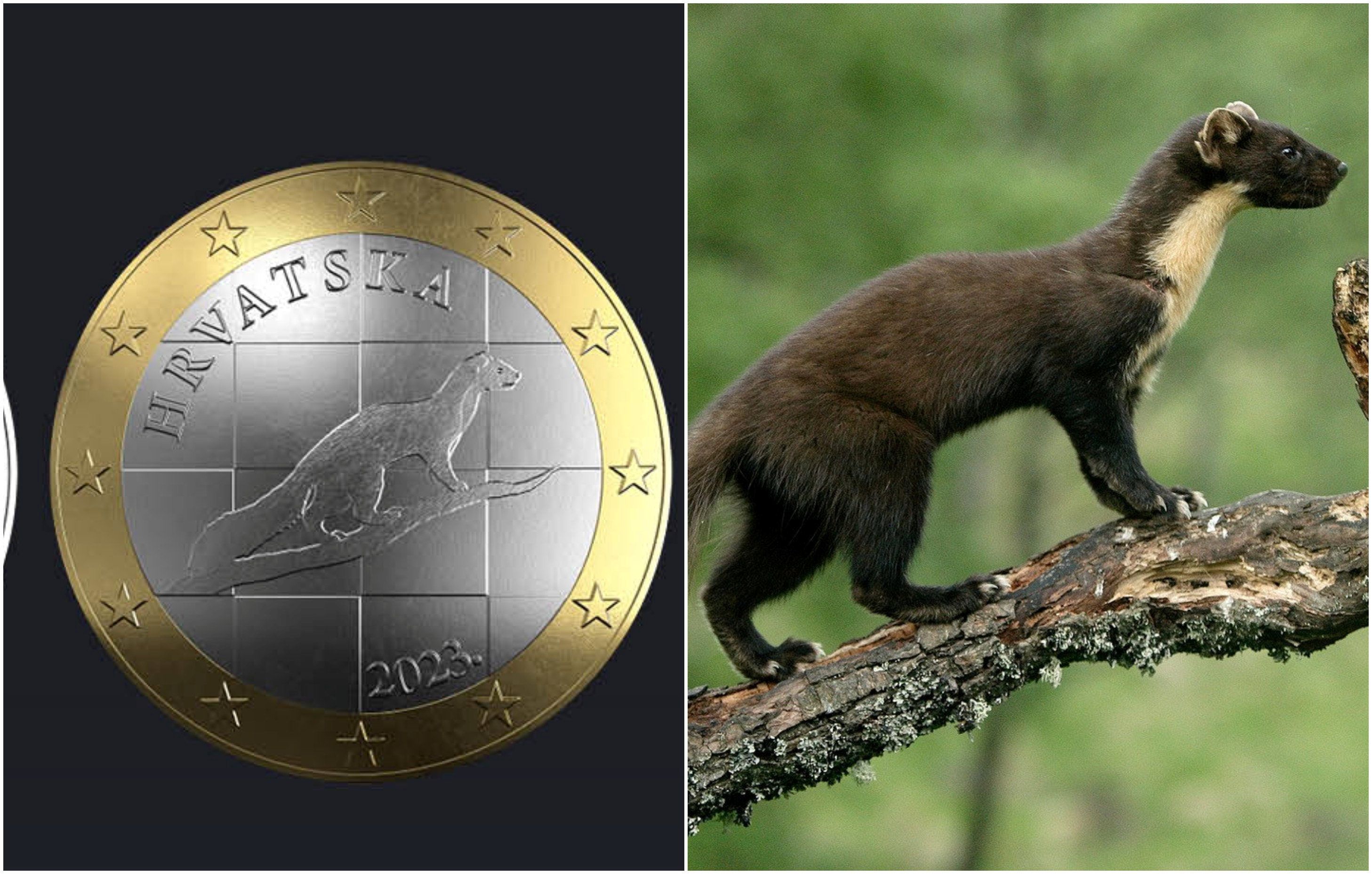 Auch Platz 2 des Wettbewerbs, hier im Bild, entpuppte sich als ein gestohlenes Foto aus Schottland.