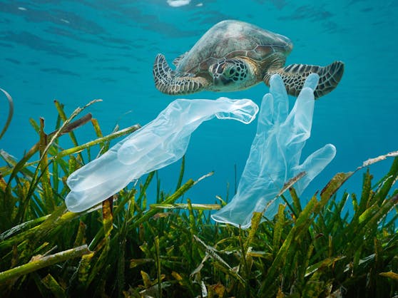 Laut einer WWF-Studie droht bis 2050 eine Vervierfachung des Plastikmülls im Meer.