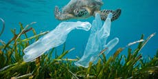 WWF warnt vor Verschärfung der Plastikkrise