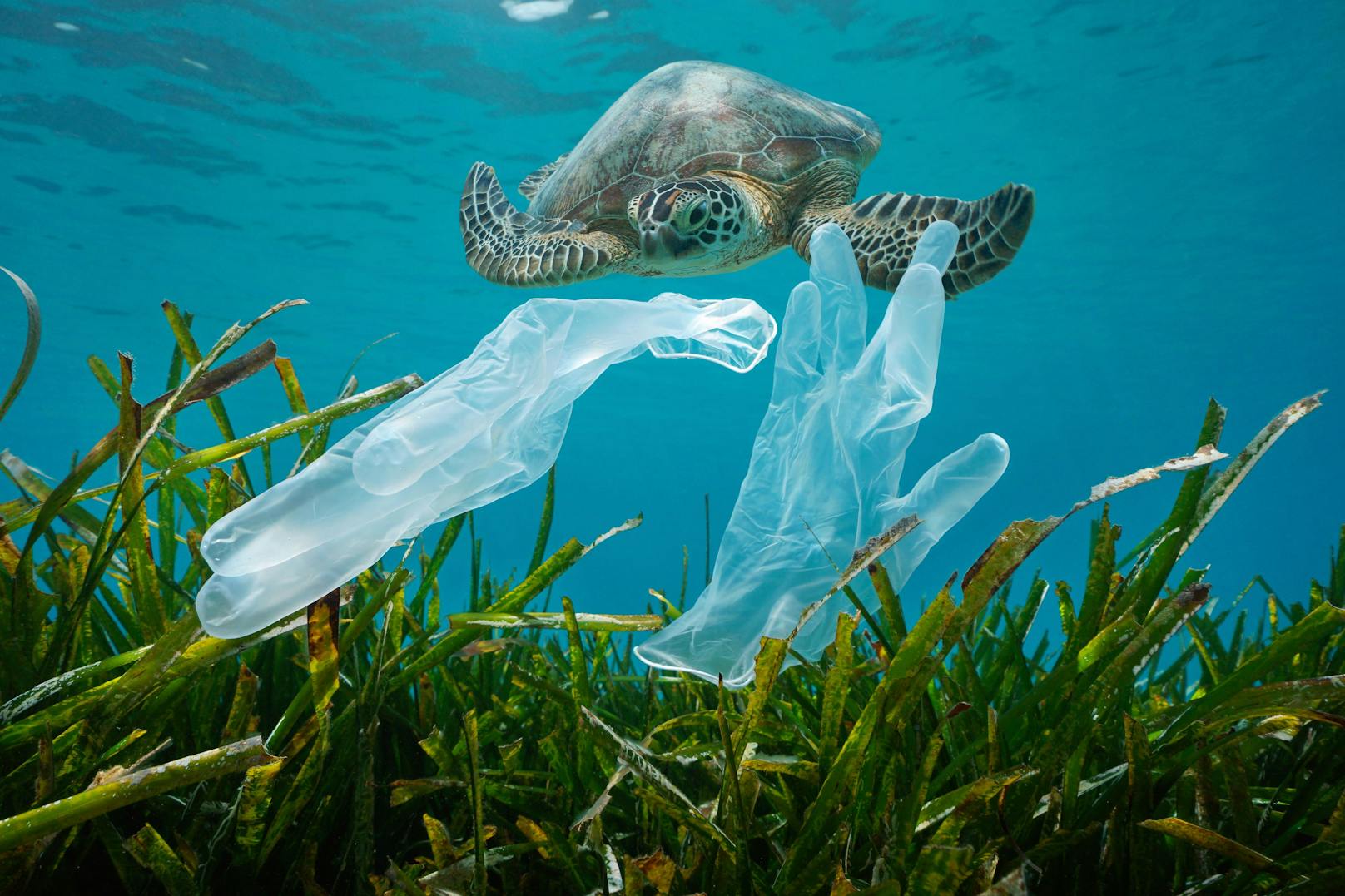 UN-Konferenz soll Abkommen gegen Plastikmüll aushandeln