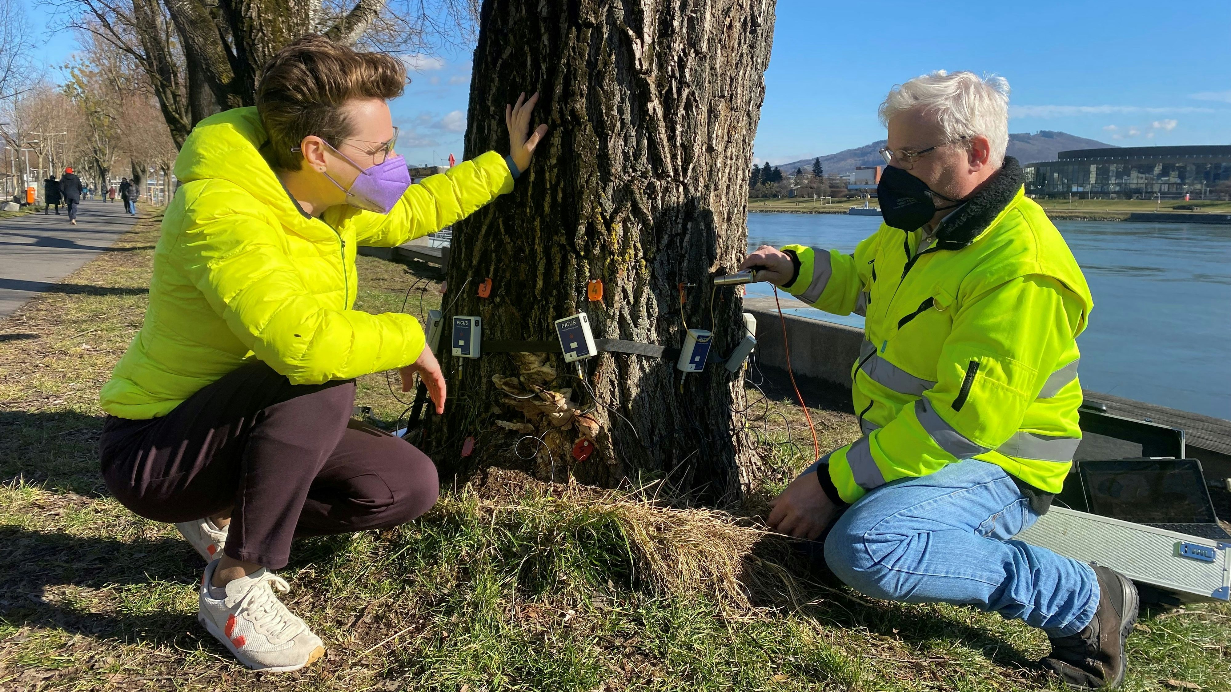 Stadträtin Eva Schobesberger und "Baumdoktor" Werner Edlinger .