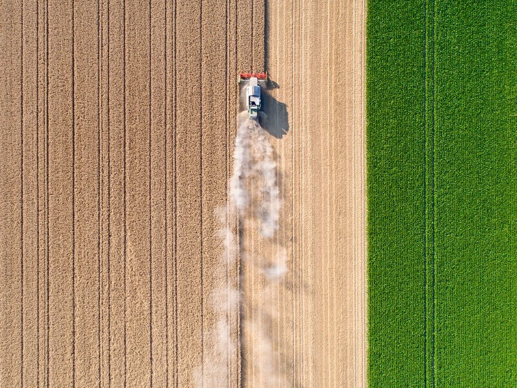 Harvesting a wheat field, dust clouds - aerial view