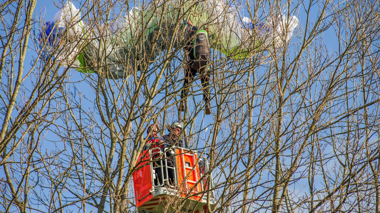 33-Jährige hängt mit Gleitschirm kopfüber in Baum