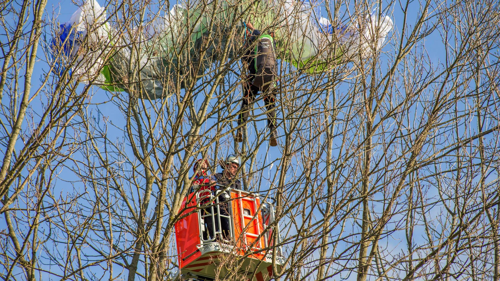 33-Jährige hängt mit Gleitschirm kopfüber in Baum