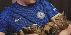 Fussball-Fan tauft Katze "Kurt" nach Tierquäler-Clip um