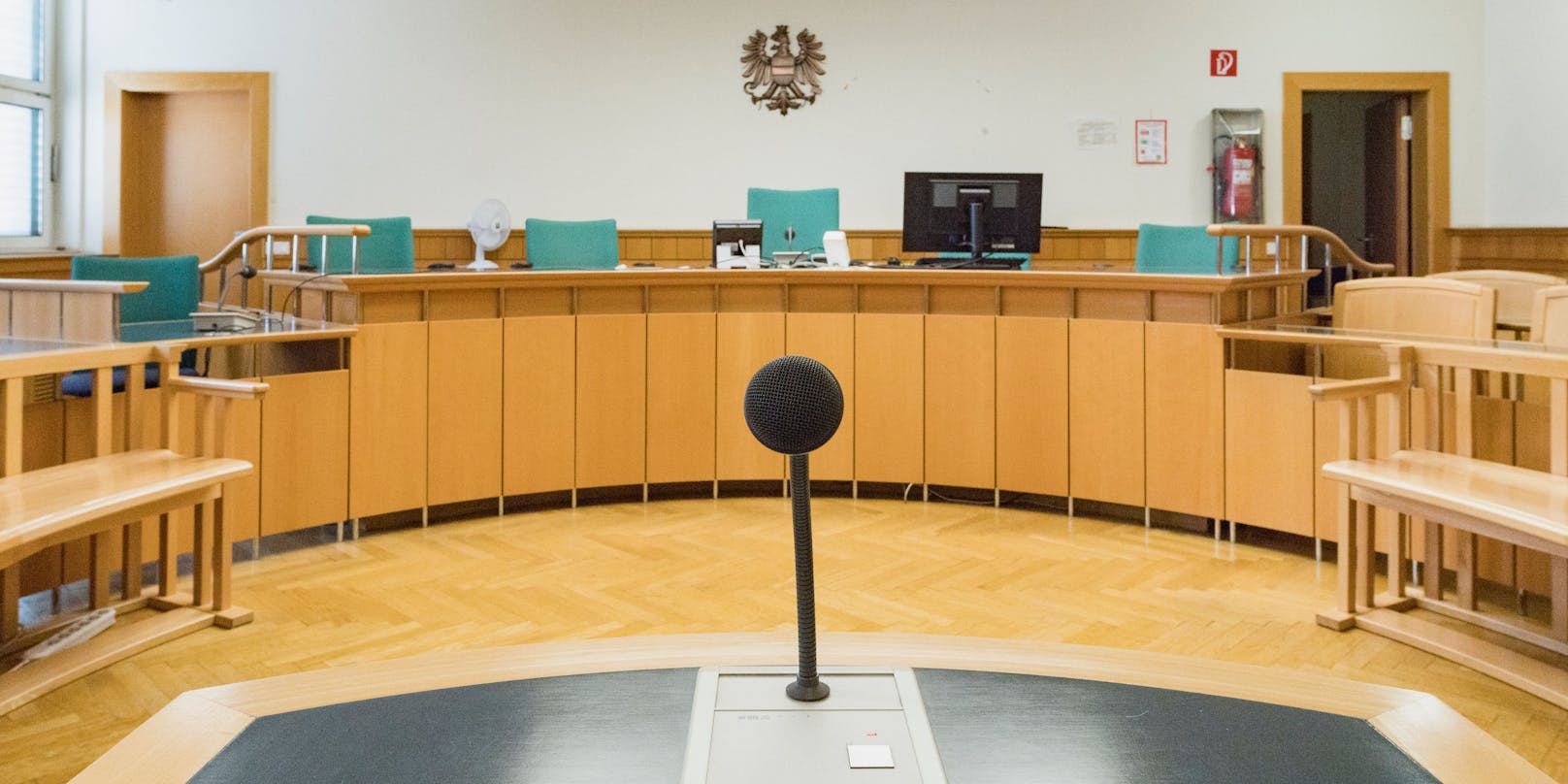 Die 26-jährige Frau musste sich vor dem Landesgericht in Eisenstadt verantworten. (Symbolbild)