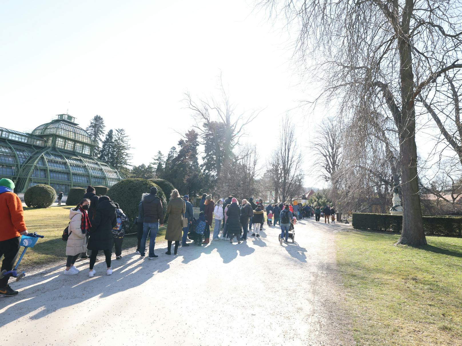 Sonntags-Ansturm auf den Tiergarten Schönbrunn