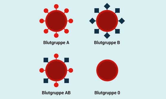 Die 4 Blutgruppen und ihre Antigene.