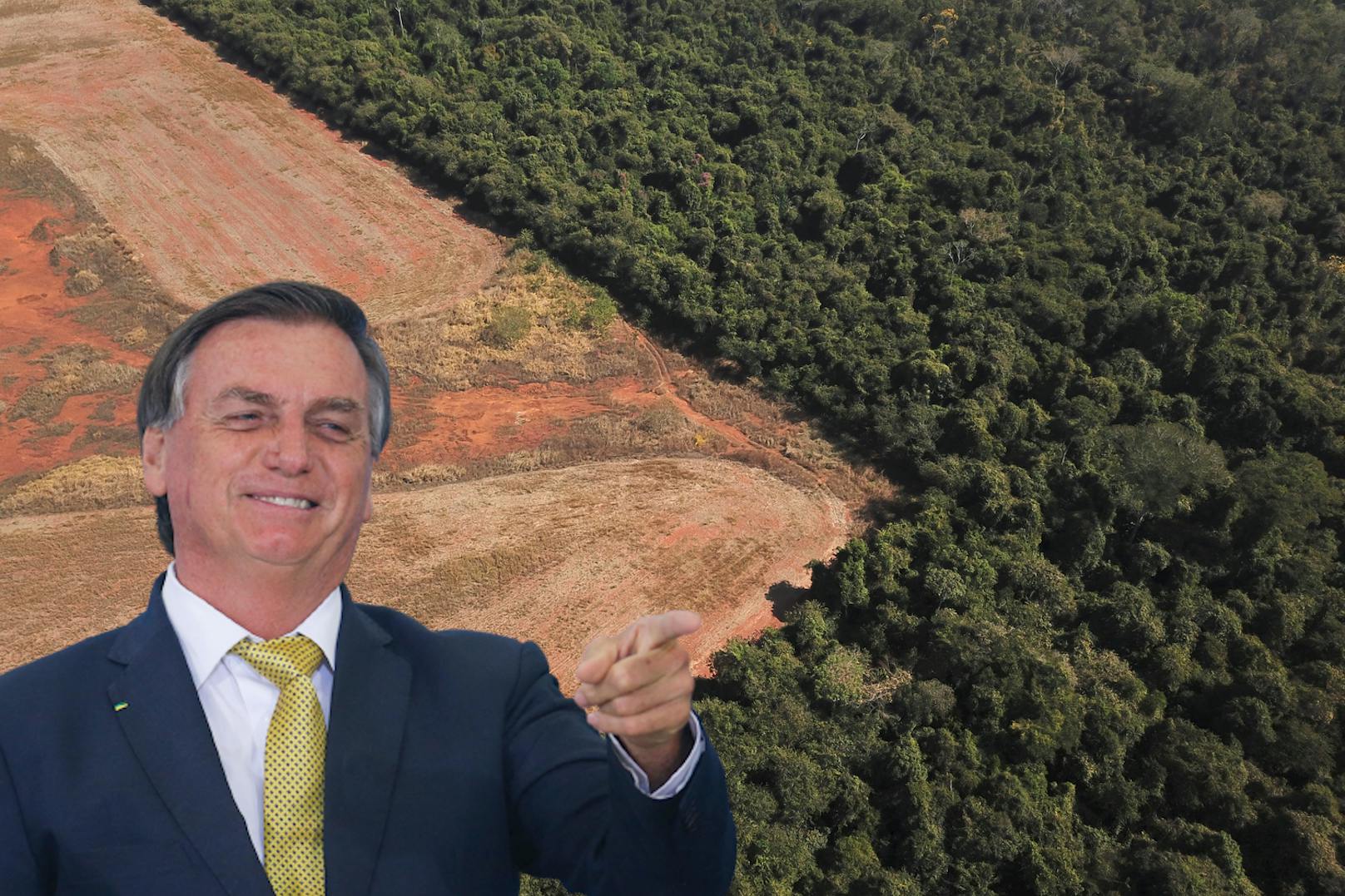 Bolsonaro treibt Bergbau im Amazonas-Gebiet voran
