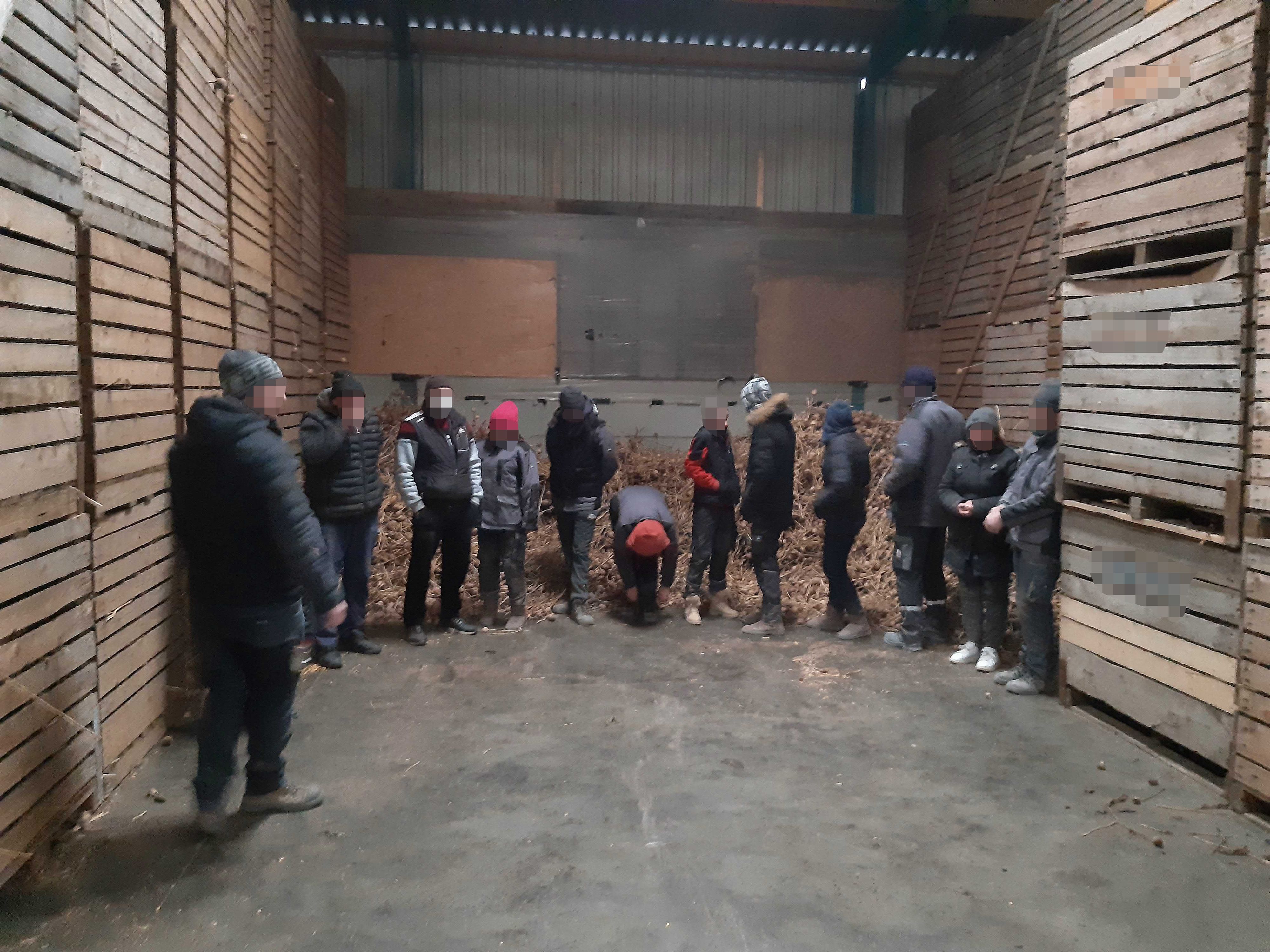 Razzia in Mohnbetrieb