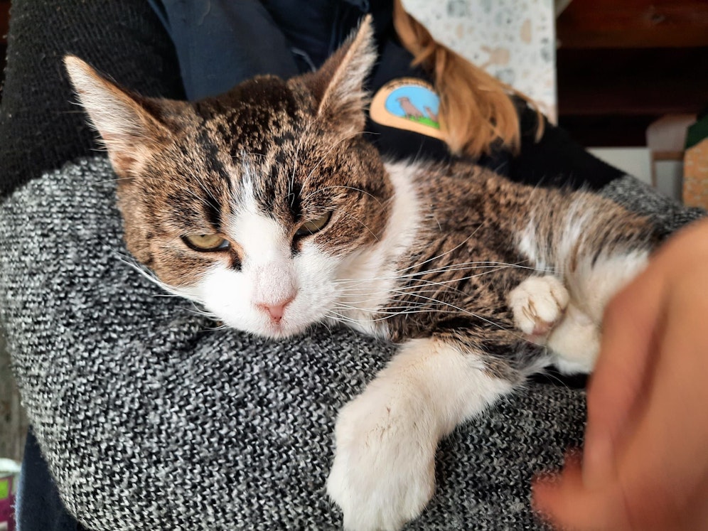 Mamasita&nbsp;sehnt sich so stark nach menschlicher Nähe.