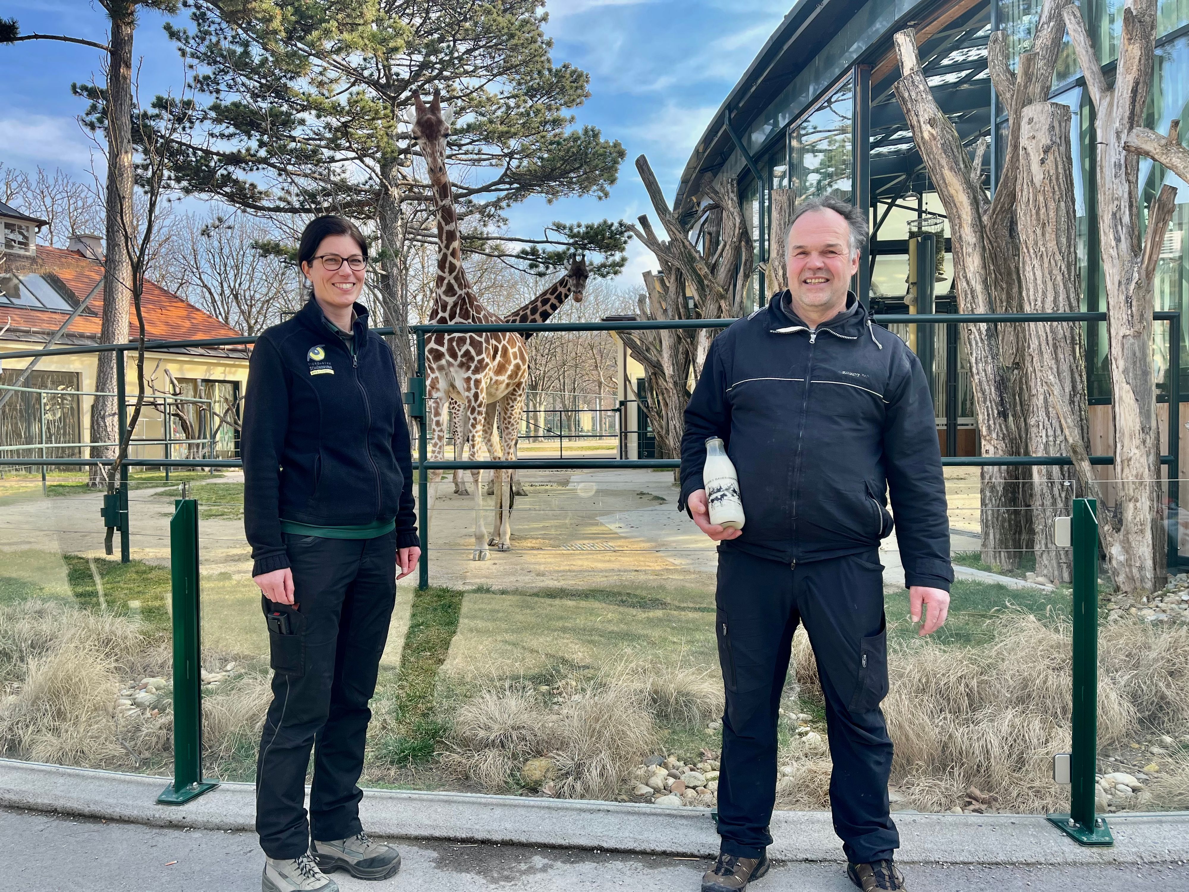 Weil die Mutter es nicht säugt, muss das Jungtier im Tiergarten Schönbrunn gefüttert werden.