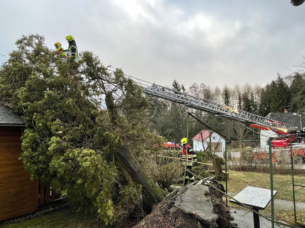 Das Sturmtief Ylenia fegte über Niederösterreich hinweg.