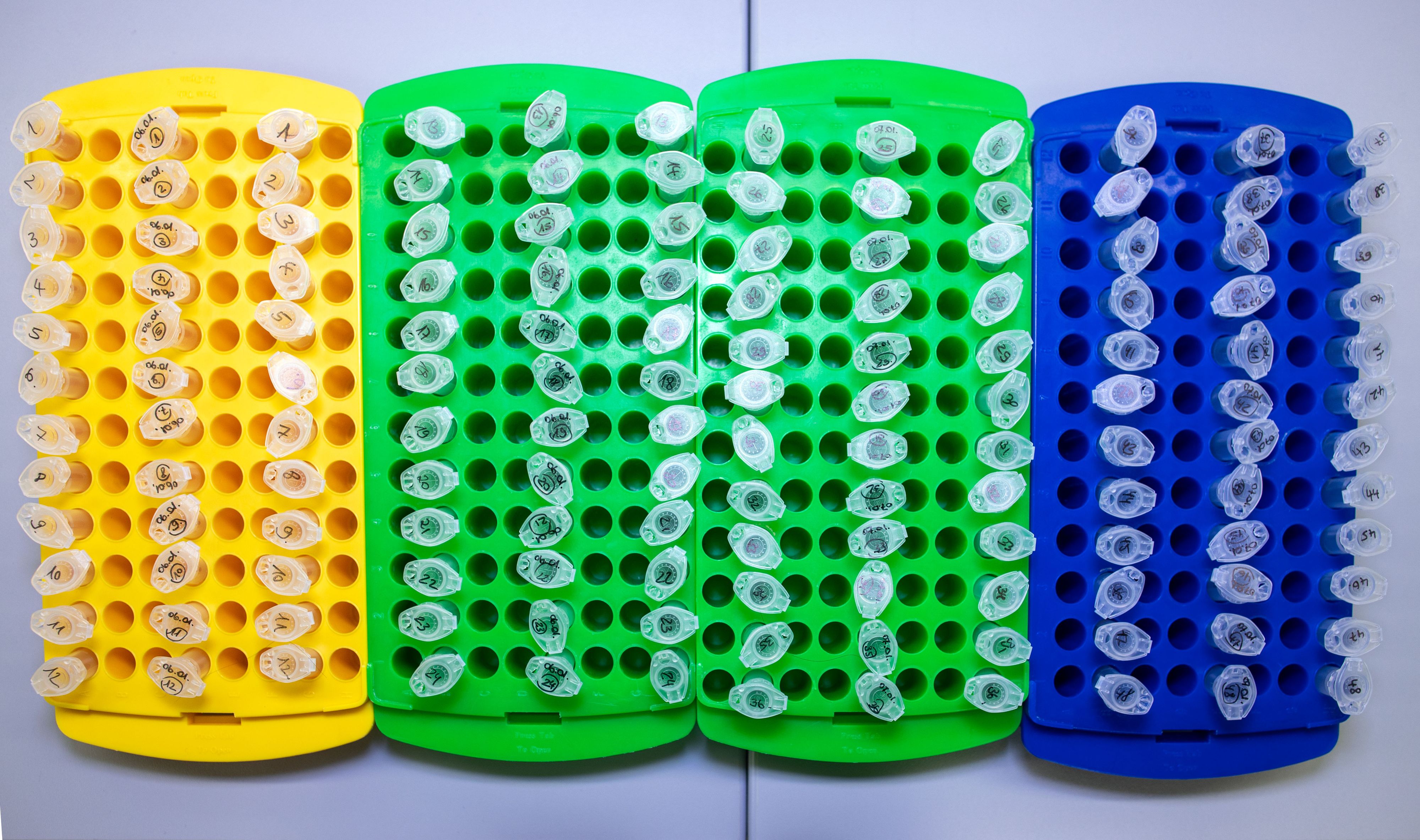 Der Omikron Subtyp BA.2 unterscheidet sich doch mehr von Omikron als gedacht. 