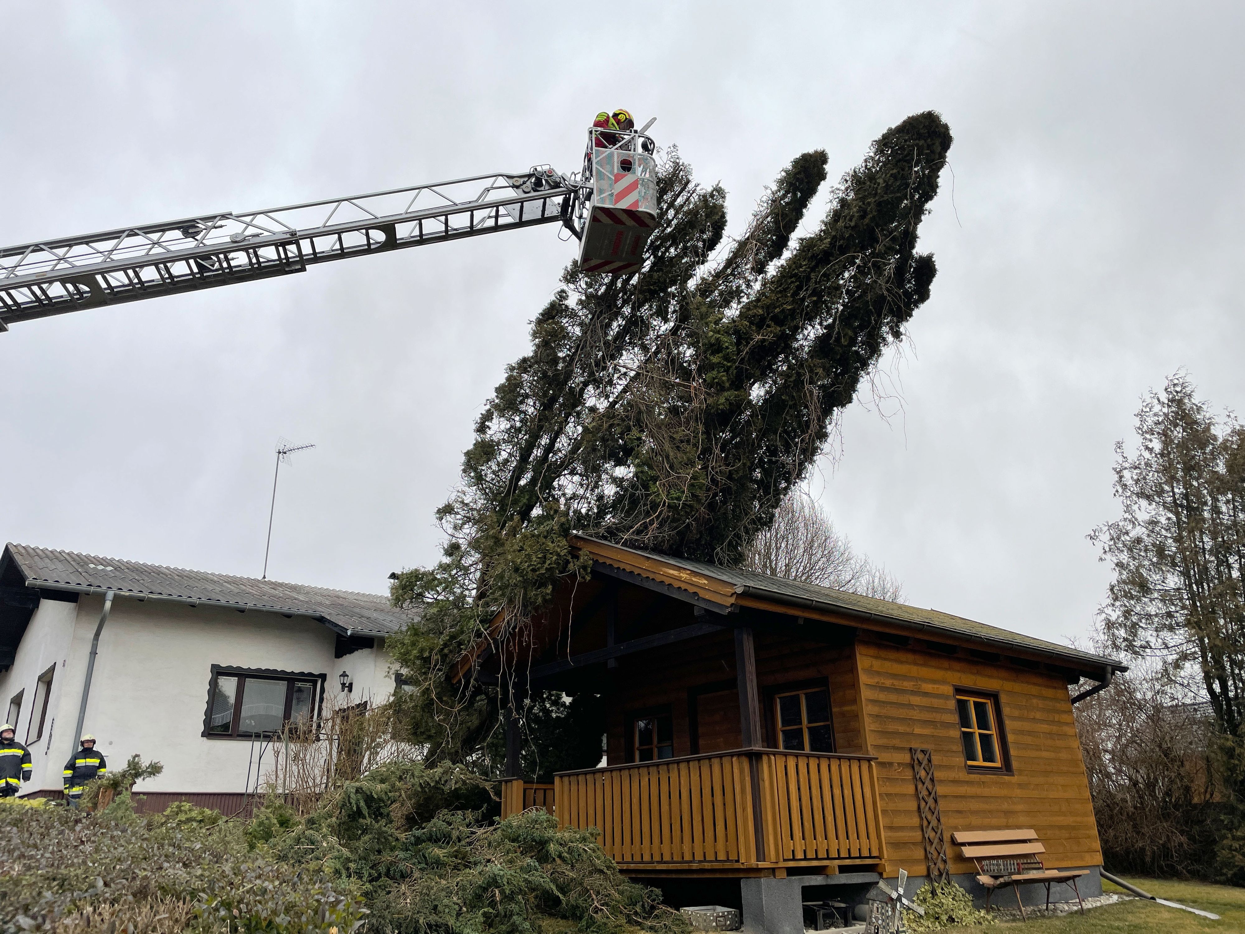 Der Baum musste Stück für Stück abgeschnitten werden.