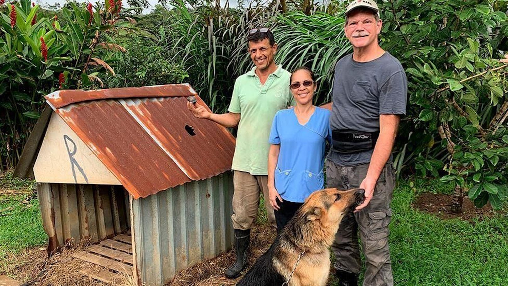 Der Deutsche Schäferhund Roky aus Costa Rica hatte großes Glück: Ein Meteorit verfehlte ihn nur haarscharf in seiner Hundehütte.