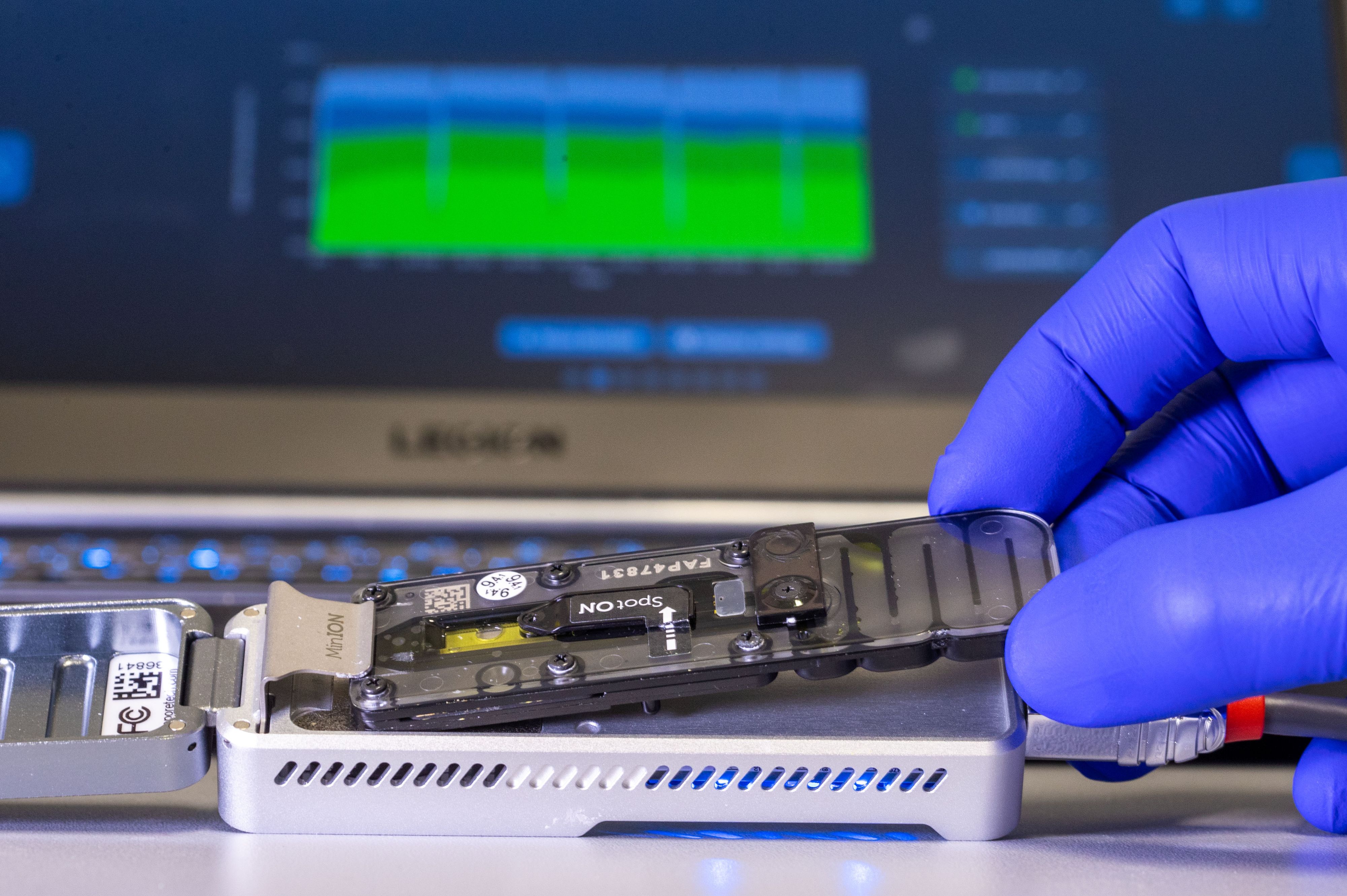 Sequenzierung des Corona-Virus (Archivfoto)