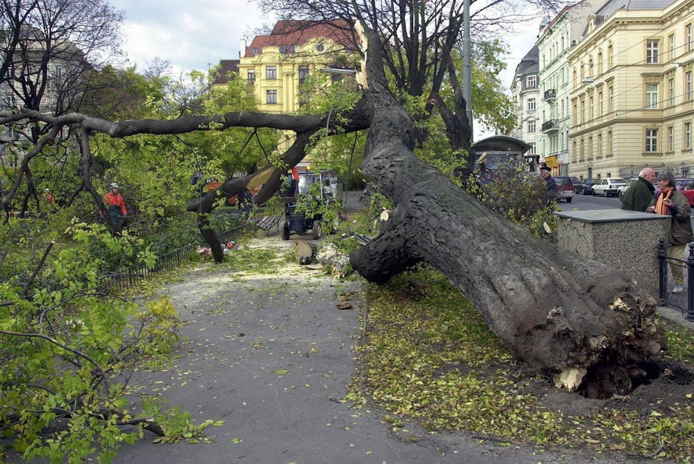 Wetterexperten warnen, dass es zu extremen Sturmböen und schweren Schäden kommen kann.