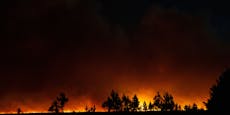 Waldbrände zerstören weltweit bekannten Nationalpark