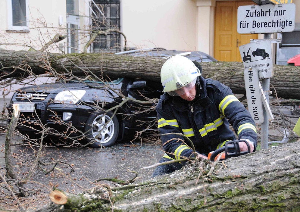 Sturmschaden in St. Pölten. Symbolbild.