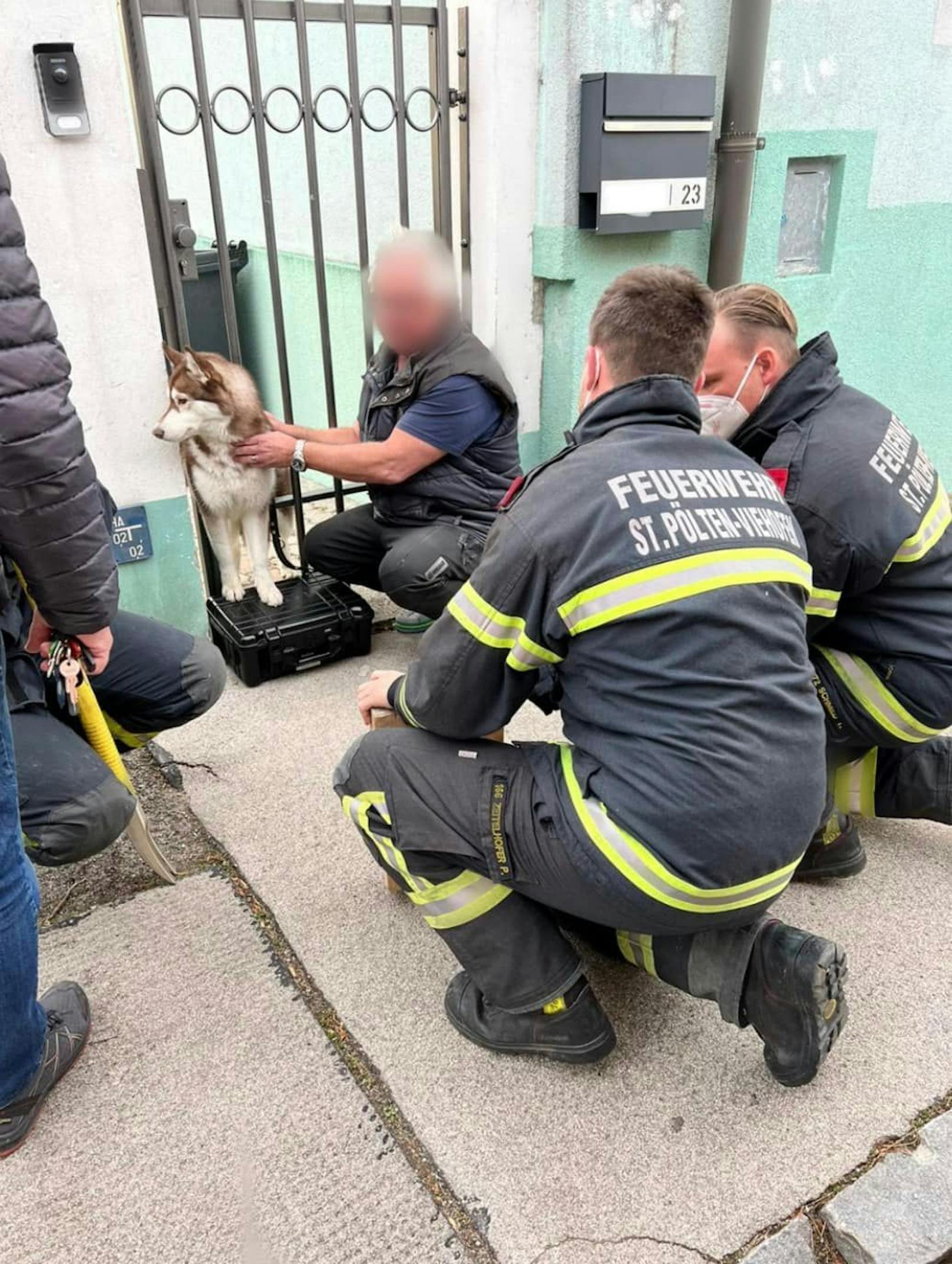 Der Hund wurde von der Feuerwehr befreit.