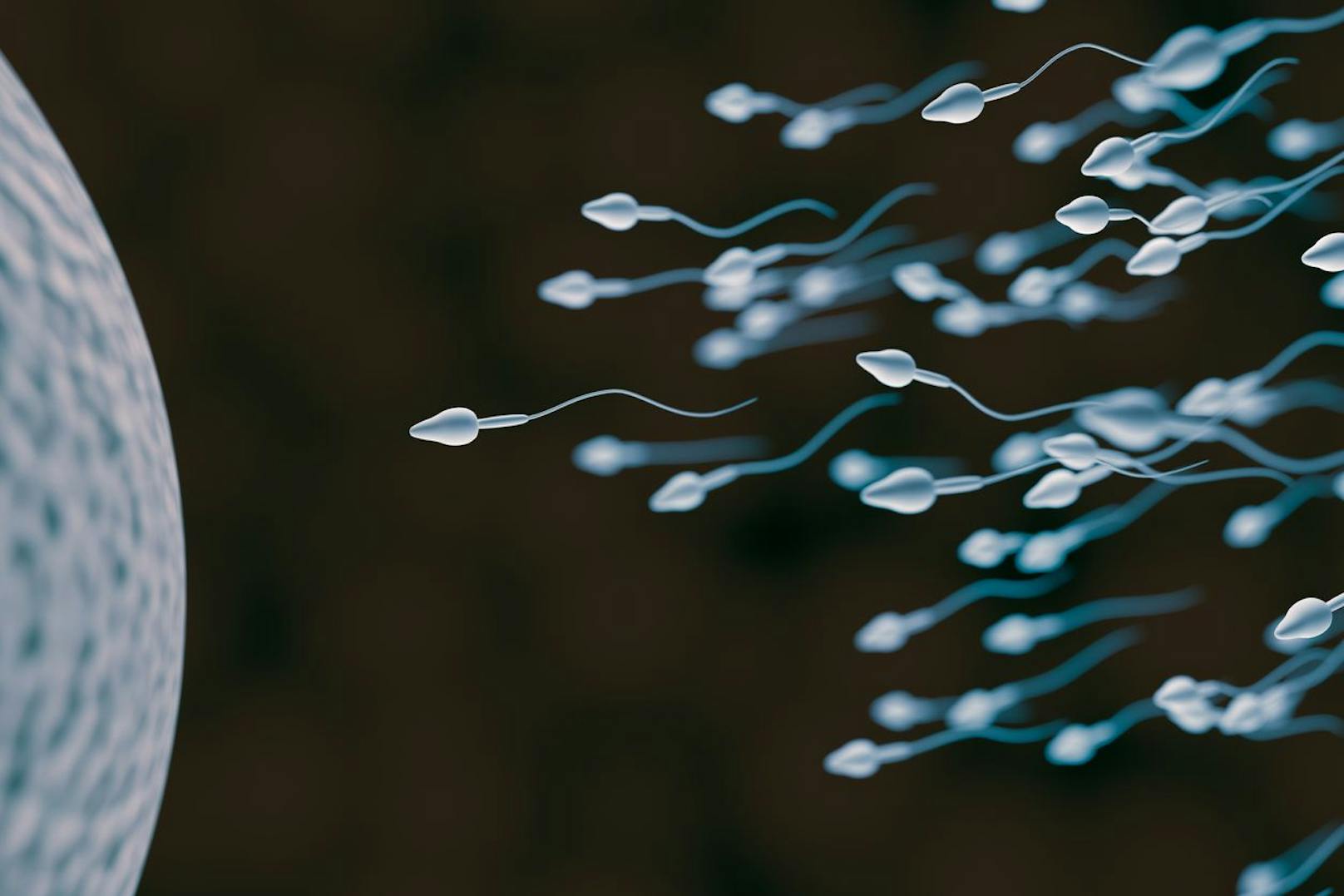 "Die Daten stimmen zuversichtlich, dass sich die Spermienqualität unter einer Therapie verbessern lässt und dass betroffenen Männern nach einer COVID-Infektion geholfen werden kann."<br>