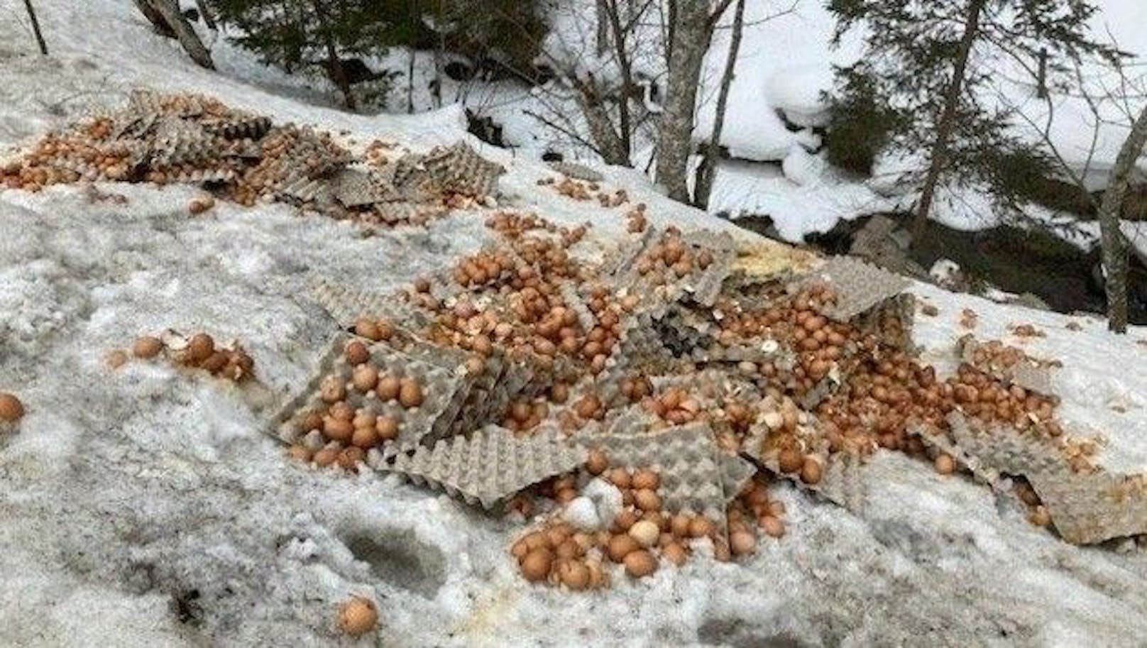 Passanten finden 7.000 entsorgte Eier am Straßenrand
