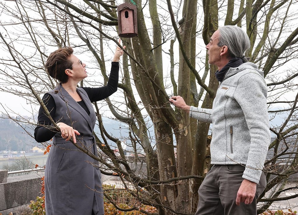 Klimastadträtin Eva Schobesberger und Michael Lederer vom Geschäftsbereich Stadtgrün und Straßenbetreuung