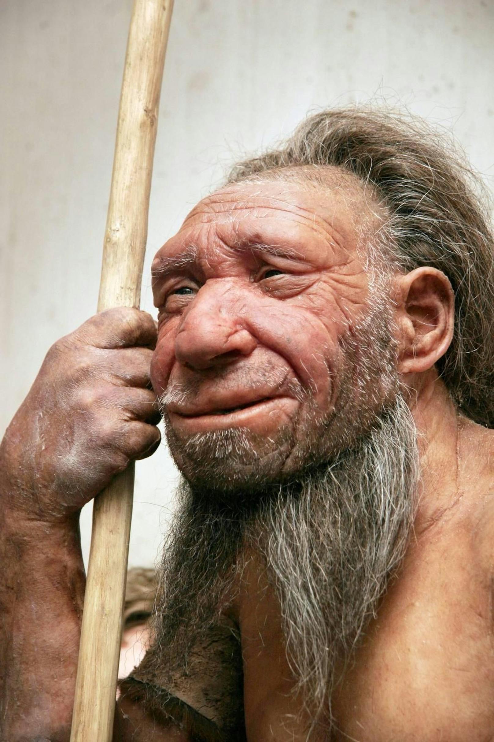Wer Neandertaler-Gene in sich trägt, ist schlechter gegen Corona geschützt.