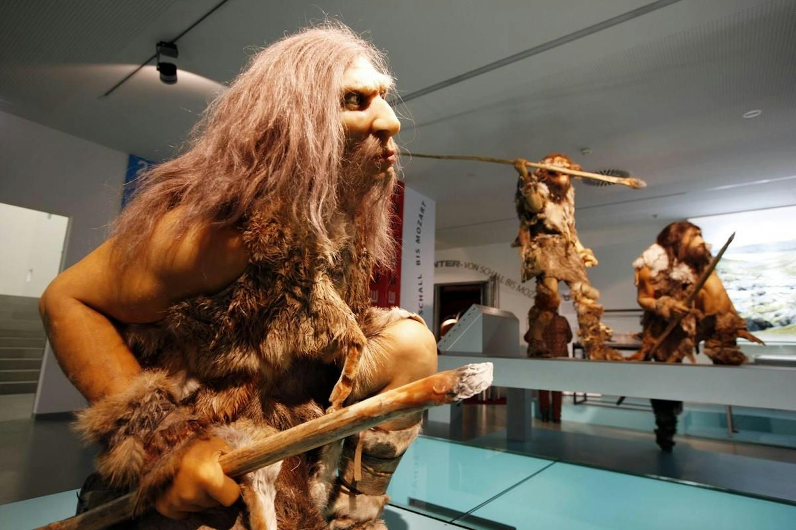Eine vom Neandertaler geerbte Covid-19-Risikovariante macht anfällig für Corona