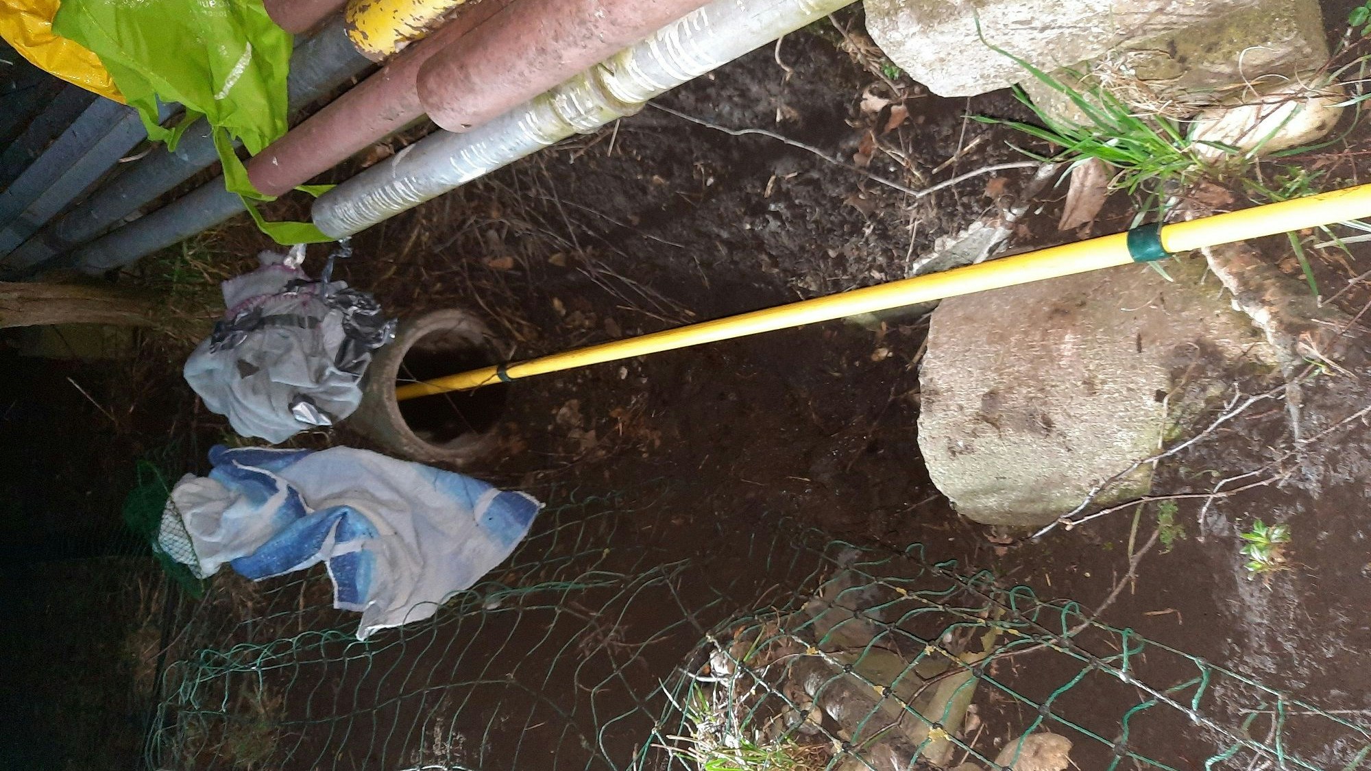 Mit einem improvisierten Spezialwerkzeug konnte der verletzte Kater geborgen werden. 