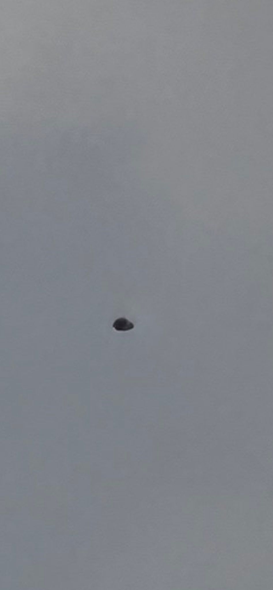 Dieses schwarze, dreieckige Flugobjekt ist laut Entdecker Arslan Warraich weder eine Drohne noch ein Vogel.