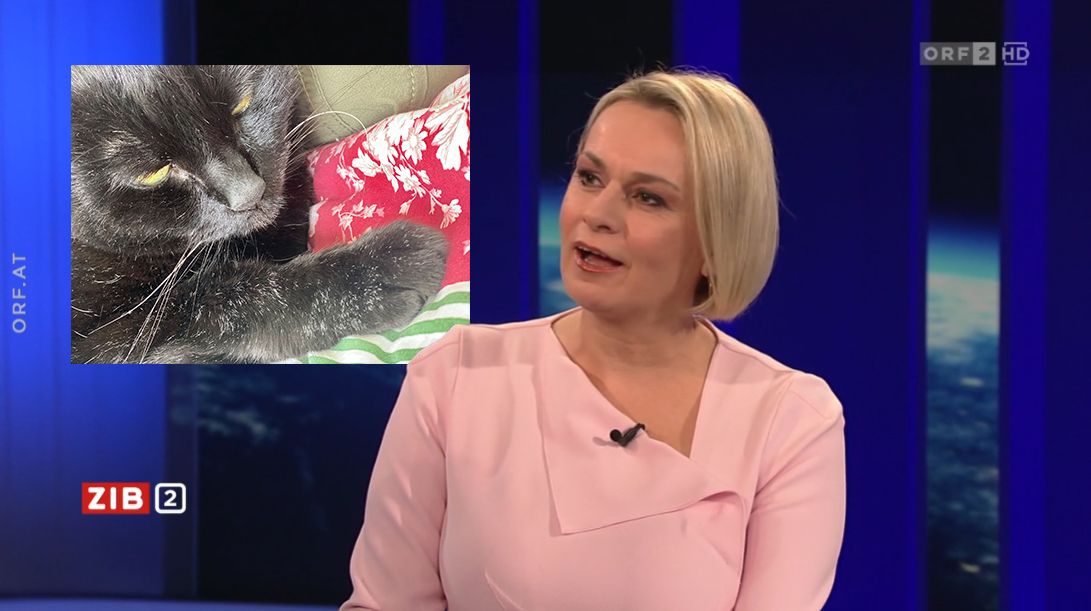 Lou Lorenz trauert um ihre Katze.