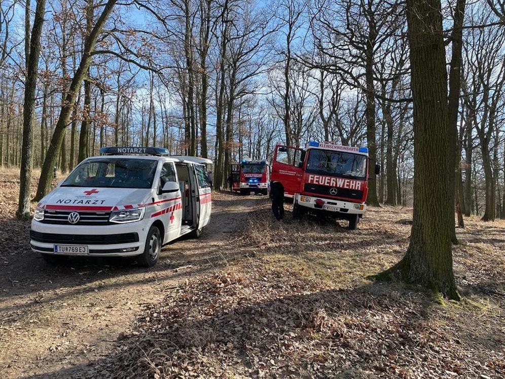 Tödlicher Unfall bei Forstarbeiten.