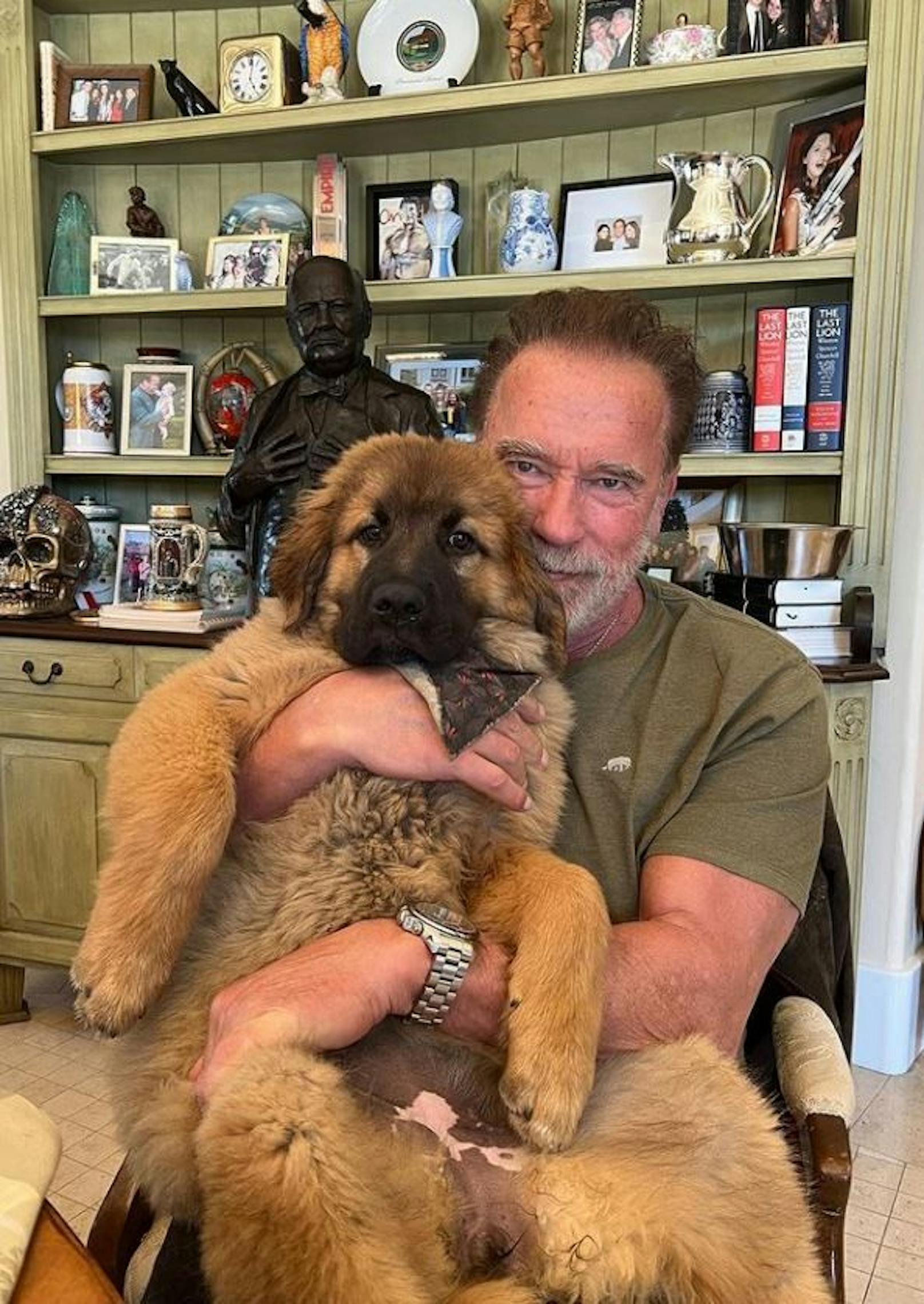 Arnold Schwarzenegger kuschelt hier mit seinem Hund Schnitzel.