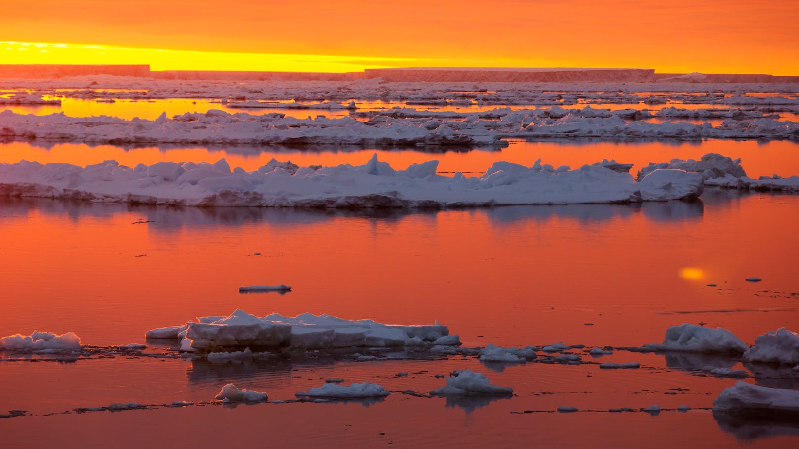 Meereis vor Beagle Island im antarktischen Weddellmeer bei Sonnenuntergang.