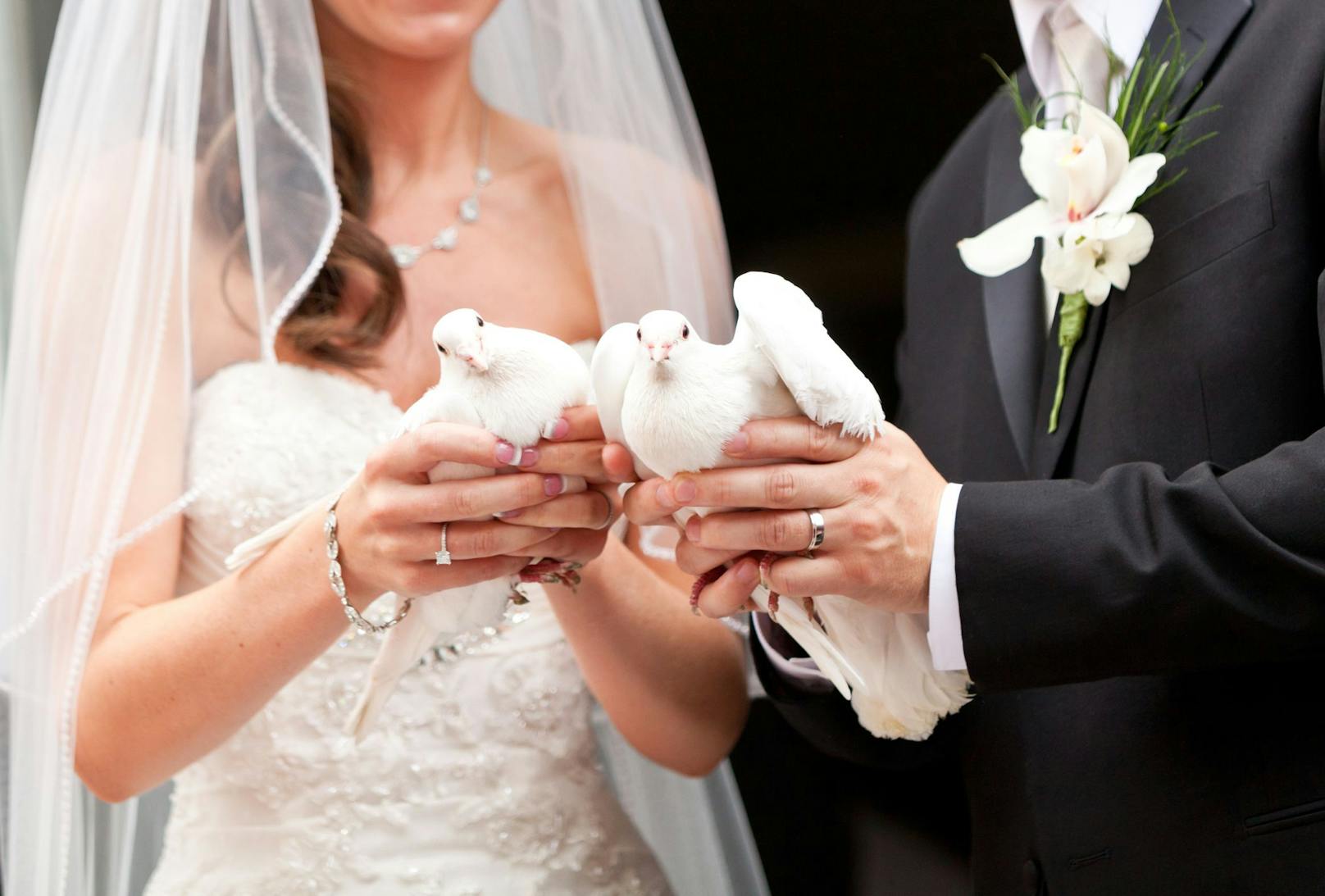 Eine traditionelle Hochzeit beinhaltet leider manchmal sehr tierquälerische Bräuche. 