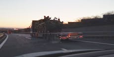 Panzer vor der Haustüre auf der Autobahn bei Alland